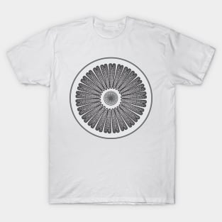 Diatom - Arachnodiscus - Artwork T-Shirt